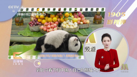 时长：04:56 ：电影网 展开 独家调查：低价视频会员背后是馅饼还是陷阱？